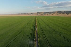 Irrigated farmland with green crops growing alongside an irrigation canal in the Treasure Valley