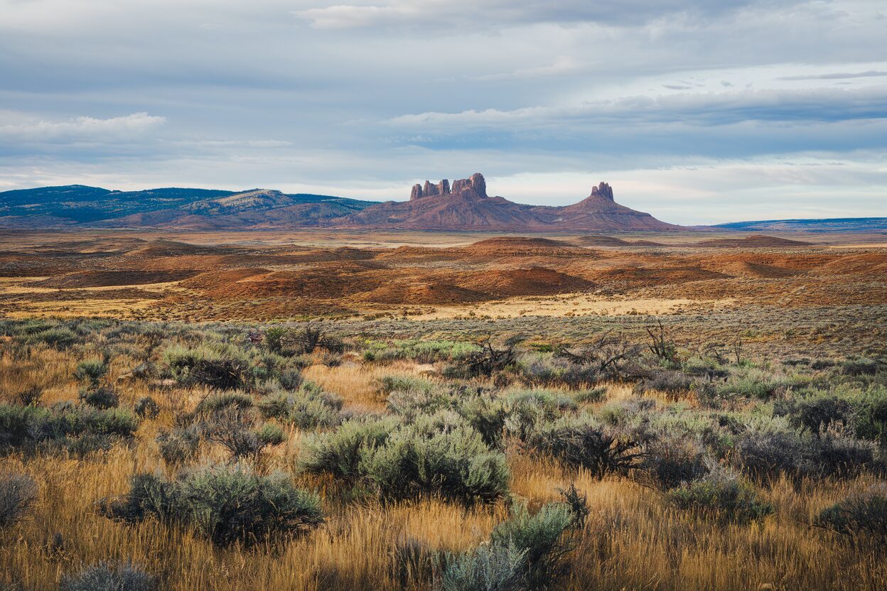 Bureau of Land Management rangeland in eastern Oregon with sagebrush and open range