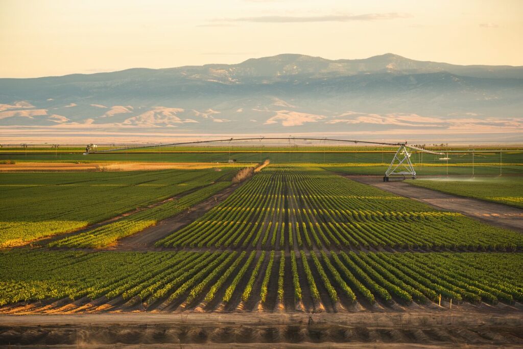 Farms and Farmland for Sale in Idaho: What Buyers Should Know