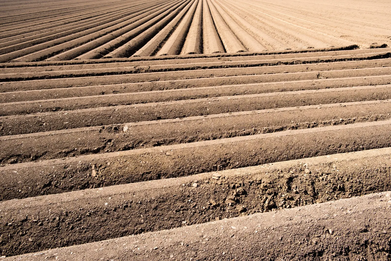 Soil Class