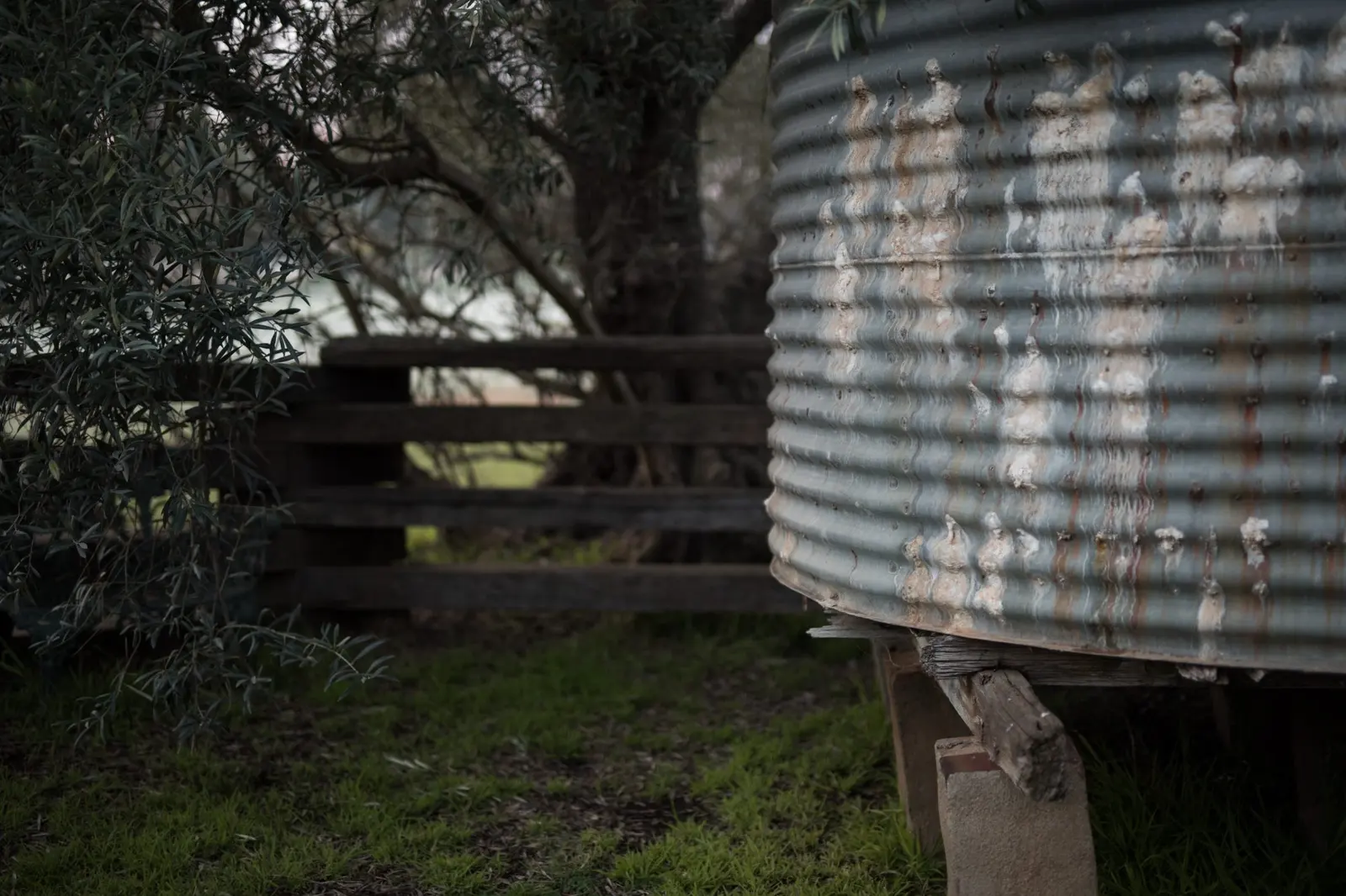 Well & Water Rights