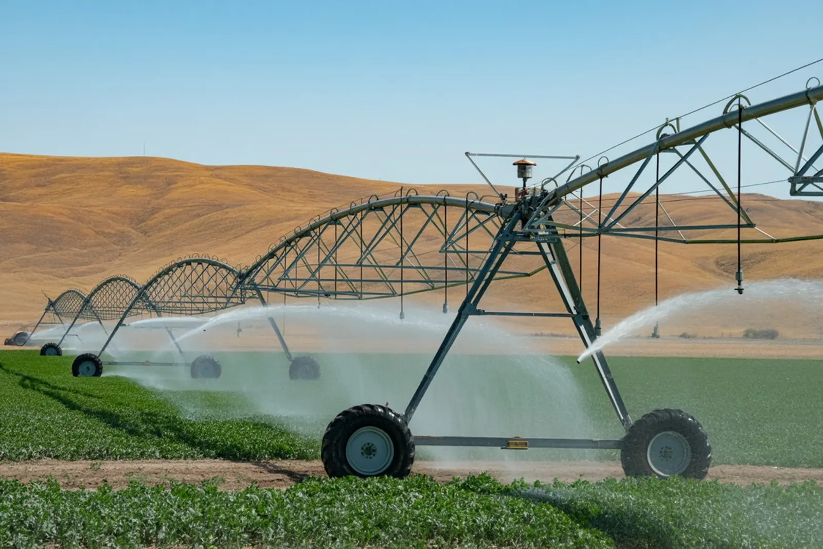 Irrigation District & Delivery